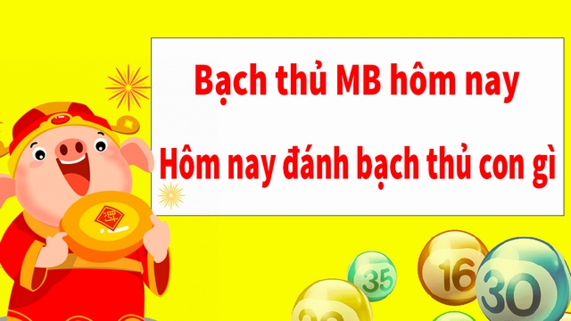 Dự đoán bạch thủ lô miền bắc